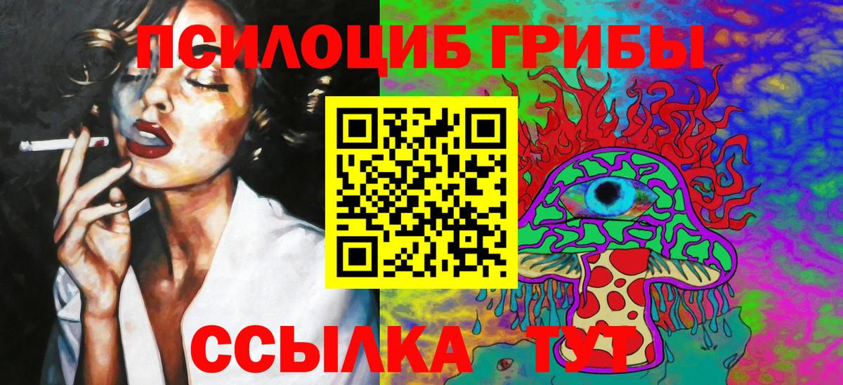 Псилоцибиновые грибы Psilocybine cubensis  Псилоцибиновые грибы Cubensis  как найти наркотики  Тара 