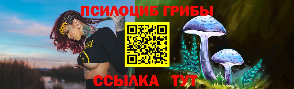 Тара  Псилоцибиновые грибы мухоморы  Галлюциногенные грибы Cubensis  Вход с VPN 