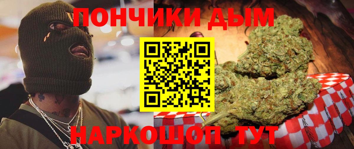 Тара  Каннабис планчик  Канабис марихуана  Бошки марихуана конопля  Вход с VPN 